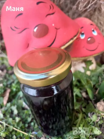 Черен бъз с мед, снимка 3 - Домашни продукти - 49200288