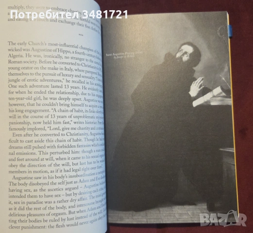 Sexuality. A History of Human Sexuality from Ancient Greece to the Modern Age, снимка 4 - Художествена литература - 53251095