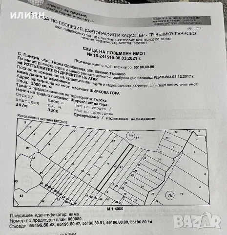 Продавам широколистна гора