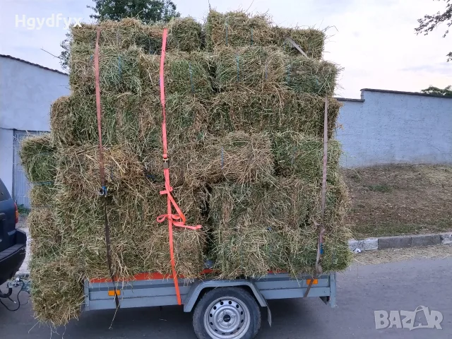 Балли чиста люцерна , снимка 2 - За селскостопански - 56232728
