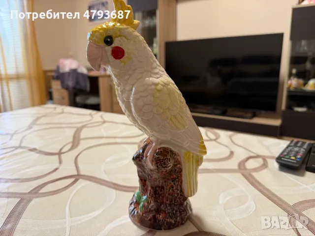 Порцеланов папагал Корела
