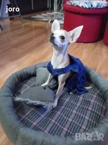 Креватче за кучета и котки, снимка 4 - За кучета - 53249768