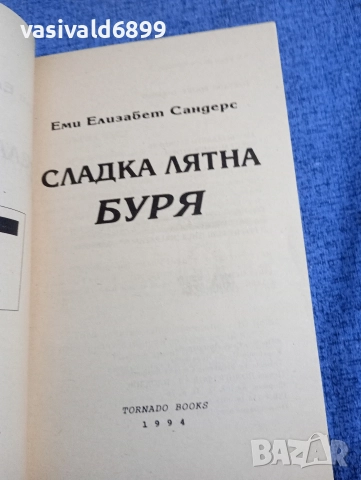 Еми Сандърс - Сладка лятна буря, снимка 4 - Художествена литература - 52938367