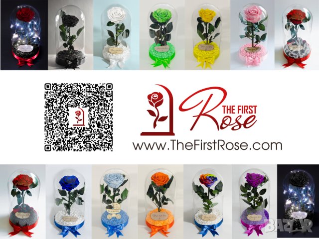 Вечна Роза (ЕСТЕСТВЕНА) в ГОЛЯМА стъкленица / Уникален подарък за рожден ден на жена, снимка 11 - Декорация за дома - 32673595