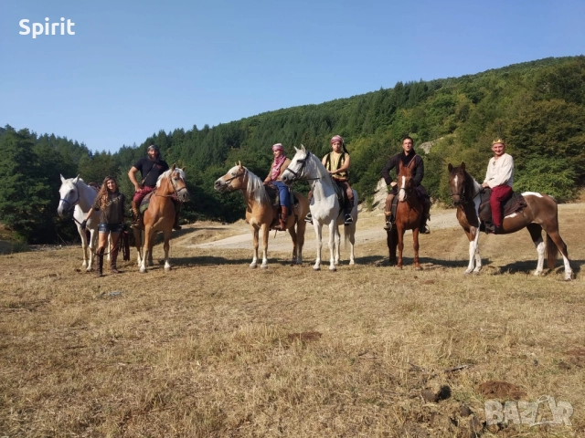 Ездитна кобила пинто Алгара, снимка 3 - Коне - 51948587