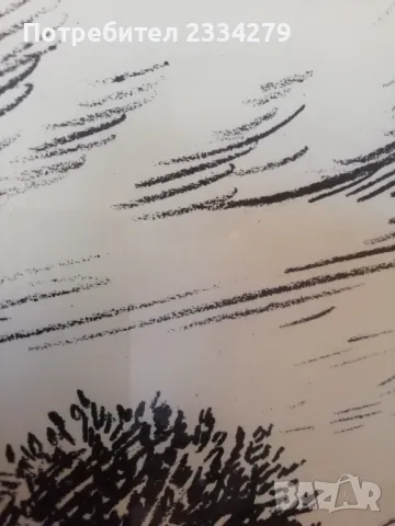 Картини принтер в рамки, снимка 11 - Картини - 47978918