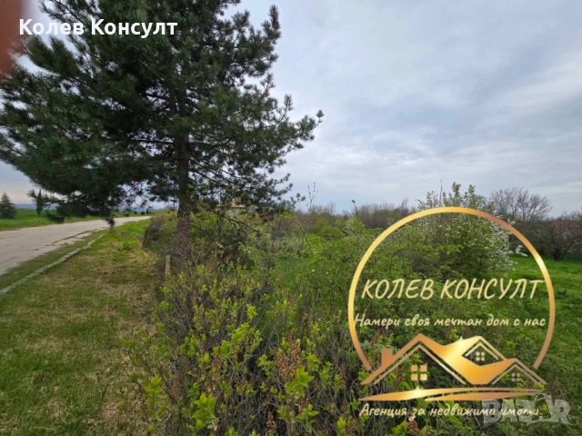 Парцел УПИ с малка Вила село Тянево,Симеоновград, снимка 3 - Вили - 54218336