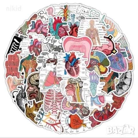 50 бр Човешко тяло човешки органи самозалепващи лепенки стикери за украса декор картонена торта др 