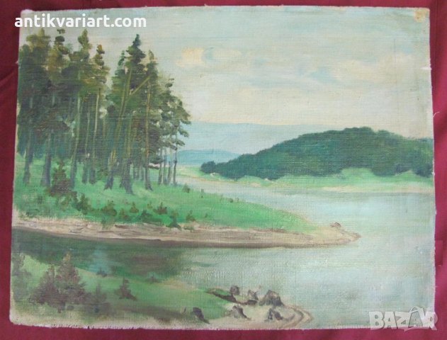 Стара Картина масло върху платно 37х27 см., снимка 1