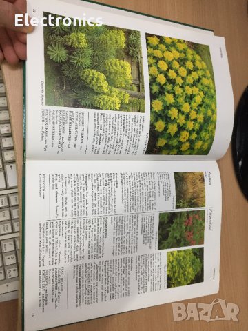 Цветна Енциклопедия - A-Z of perennials -Successful Gardening, снимка 8 - Енциклопедии, справочници - 30873235