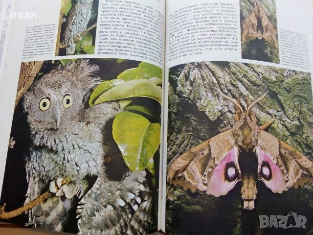 Поведение животных - Н.Тинберген, снимка 13 - Енциклопедии, справочници - 30433762