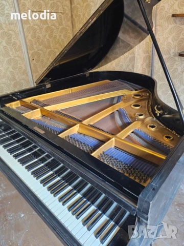 Немски акустичен роял Wolfram Dresden