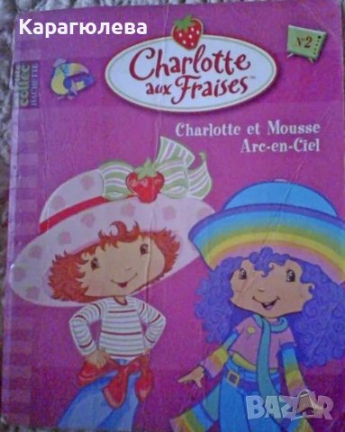 Учебници, тетрадки, помагала: немски, руски, френски език, снимка 6 - Учебници, учебни тетрадки - 42597122
