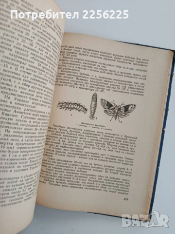 Настолна книга за лозаря, снимка 4 - Специализирана литература - 52471038