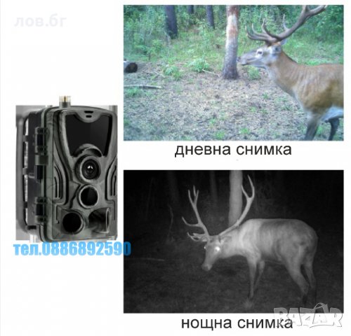 Ловна камера suntek HC-801М, Фото капан ,FUL HD 120градуса,MMS EMAIL 2”дисплей 20м нощно виждане, снимка 6 - Оборудване и аксесоари за оръжия - 35702500