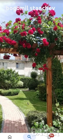 Едностаен ап. Сл. бряг център с отделна кухня        , снимка 12 - Апартаменти - 51397531