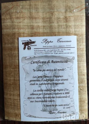 Оригинален папирус от Сиракуза (Сицилия) - Архимед, 18 х 13 см, снимка 3 - Картини - 48256362