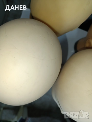 Продавам 7 броя ГЛАВИ / манекени, снимка 8 - Манекени - 54233199