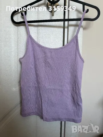 Лилав потник, снимка 1