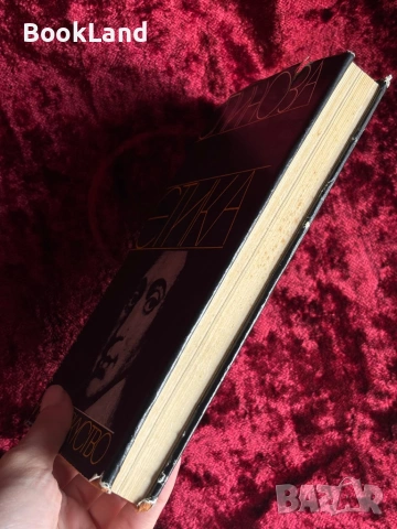 Спиноза | Етика , снимка 3 - Други - 54196392