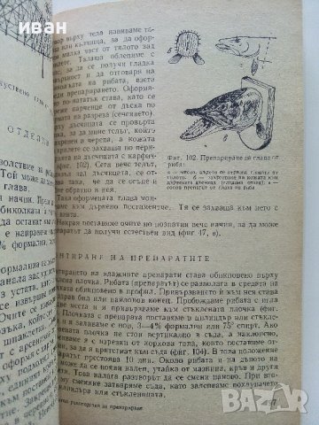Кратко ръководство за препариране - Ефтим Ламбрев - 1976г. , снимка 5 - Енциклопедии, справочници - 40616709