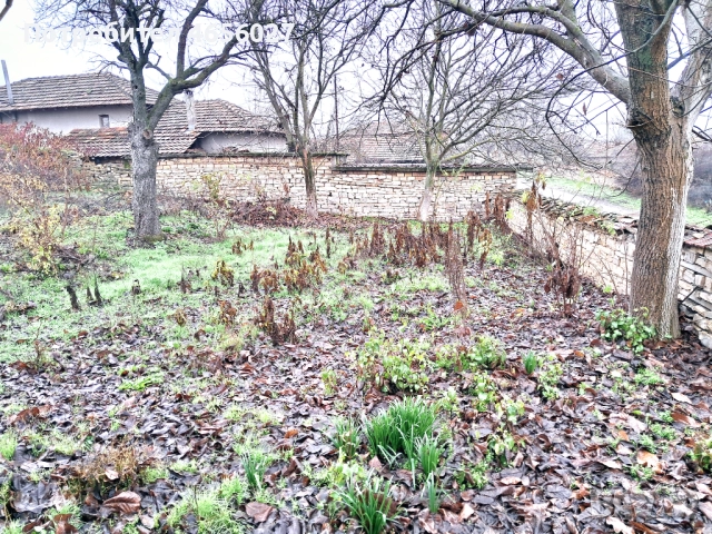 КЪЩТА В СЕЛО ДРЯНОВЕЦ БЯЛА РУСЕ, снимка 4 - Къщи - 52583857