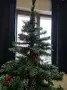 Коледно. дърво .., снимка 8
