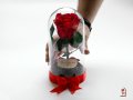 Подарък за Имен Ден / Естествена Вечна Роза в Стъкленица / Оригинален Подарък Жива Вечна Роза