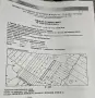 Продавам широколистна гора, снимка 1