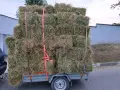 Балли чиста люцерна , снимка 2