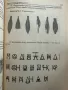 Варна през древността Петър Стоянов, снимка 3