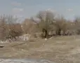 Дворно място-парцел, снимка 3
