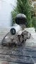 Двигател за Jawa 353 250 Ява, снимка 4