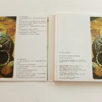 "Копривщица" - брошура/картички/ 40стр.в четворна корица - 1977г., снимка 2 - Колекции - 36991738