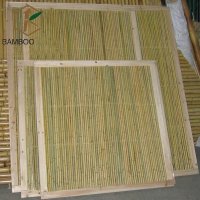 100 Семена от бамбук Moso-Bamboo рядко срещано растение за декорация на вашата градина бамбук мосо б, снимка 10 - Сортови семена и луковици - 37712119