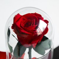 Подарък за Имен Ден / Естествена Вечна Роза в Стъкленица / Оригинален Подарък Жива Вечна Роза, снимка 10 - Подаръци за имен ден - 38771445