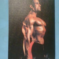 Мегамускули за вас Специализация за отделните мускулни групи Еню Рангелов, снимка 3 - Специализирана литература - 42475077