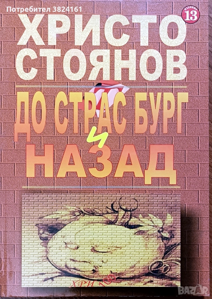До Страсбург и назад Христо Стоянов, снимка 1