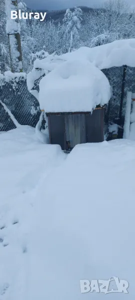 Къща за куче средно/голямо, снимка 1