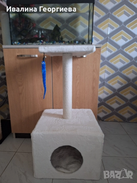 котешка драскалка , снимка 1