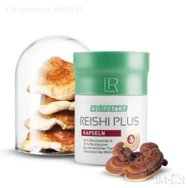 Гъба reishi, снимка 1