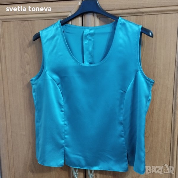 Син потник, снимка 1