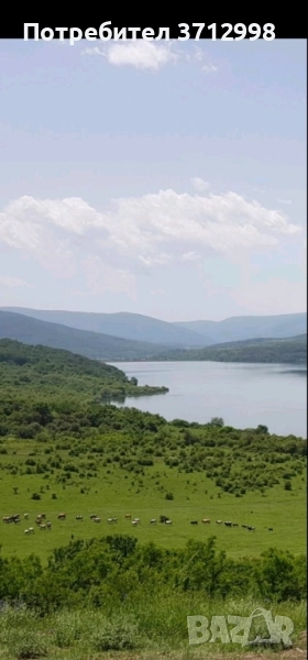 Подава парцел, снимка 1