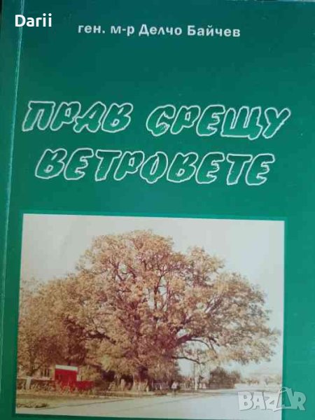 Прав срещу ветровете- Делчо Байчев, снимка 1