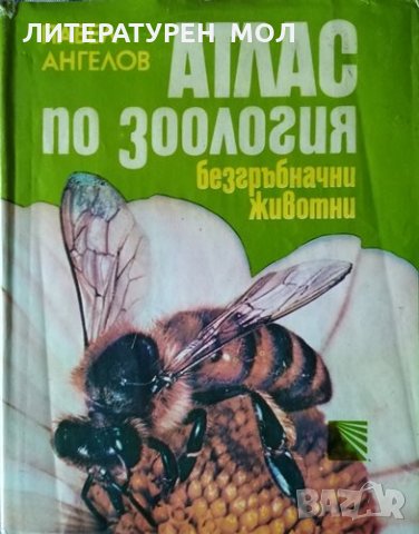 Атлас по зоология. Безгръбначни животни. Павел Ангелов, 1982г.