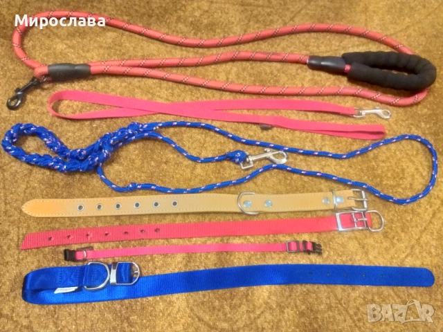 Нашийници, поводи и нагръдник за куче 