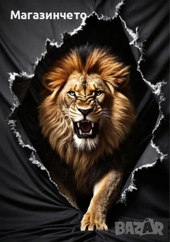 Диамантени гоблени по поръчка , снимка 10 - Гоблени - 53331508