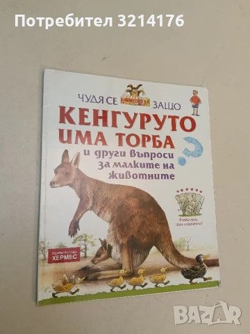 Долината на динозаврите - Илюстрации, Бен Мантел, текст, К. Томсън, снимка 3 - Детски книжки - 51060924