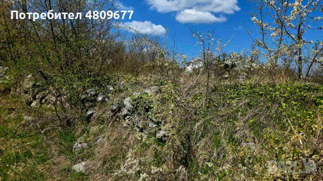 Парцел в село Паволче до Враца – 3 имота общо 1994 кв.м, снимка 4 - Парцели - 54330816