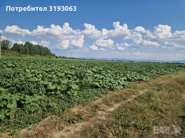 Продавам земеделска земя